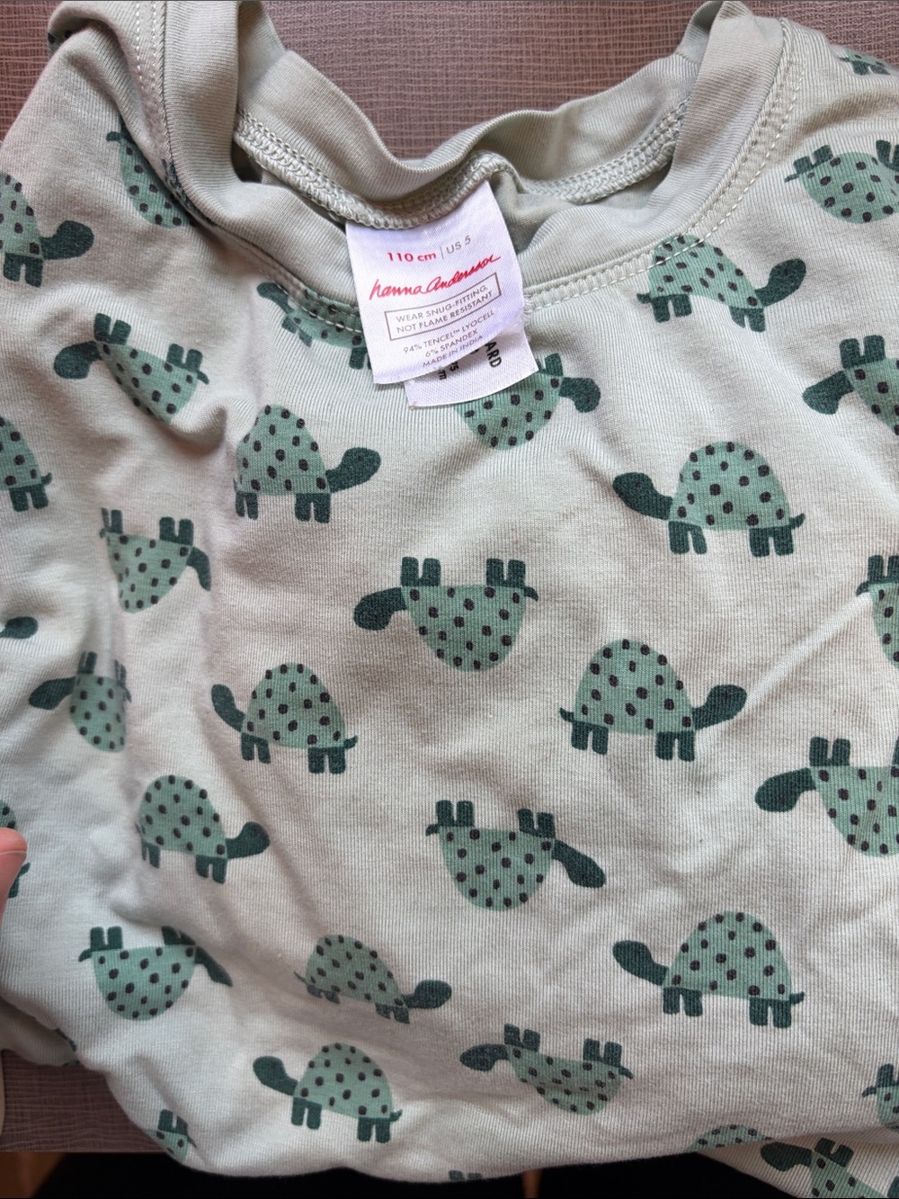Hanna Andersson Light Green Long Sleeve Tee with Dark Green Turtle Print 5T